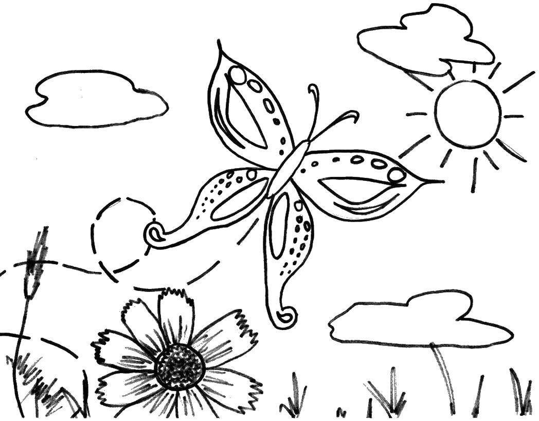 Название: Раскраска Солнце и бабочка. Категория: бабочка. Теги: бабочка, солнце, цветы.