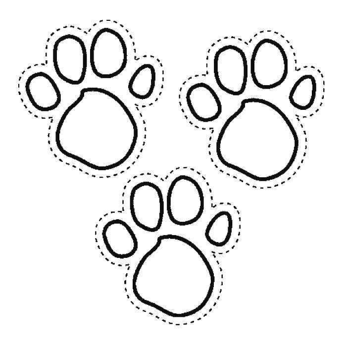 Название: Раскраска Три следа собаки. Категория: Следы животных. Теги: следы, собака, лапы.