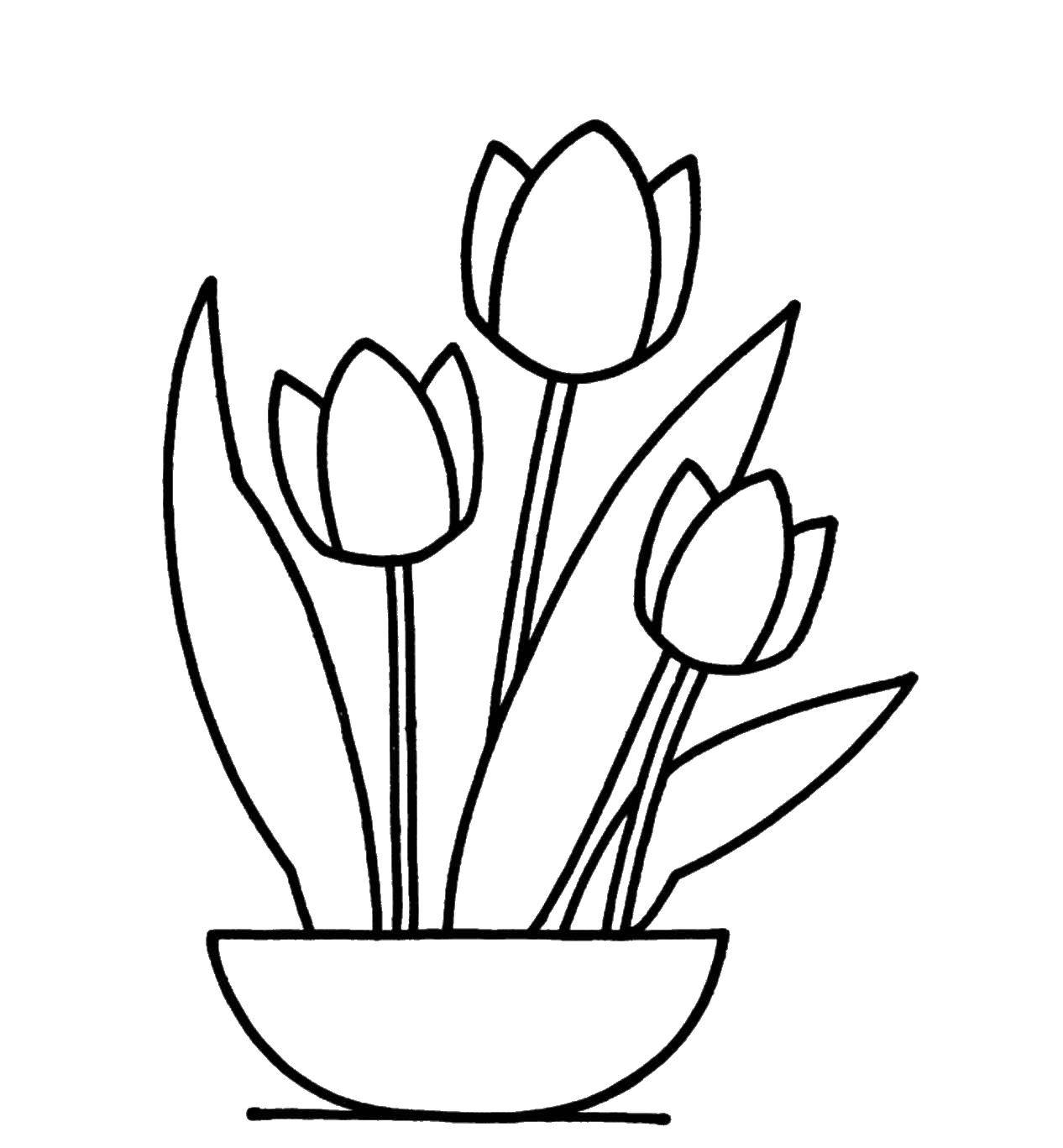 Название: Раскраска Три тюльпана в горшке. Категория: Ваза. Теги: Цветы, тюльпаны.