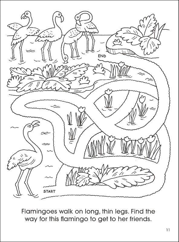 Coloring Herons and maze. Category Mazes. Tags:  herons , maze, flowers, swamp.