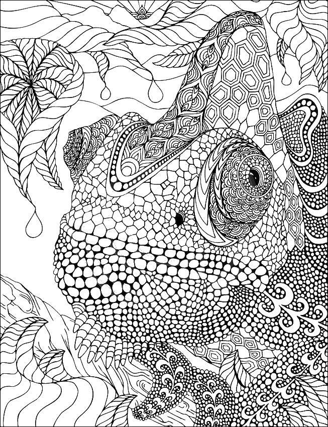 Coloring Patterned face of a chameleon. Category Bathroom with shower. Tags:  Bathroom with shower.
