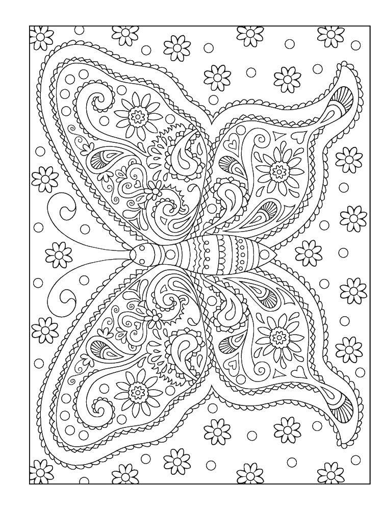 Coloring Patterns and butterfly. Category butterflies. Tags:  butterfly, wings, patterns.