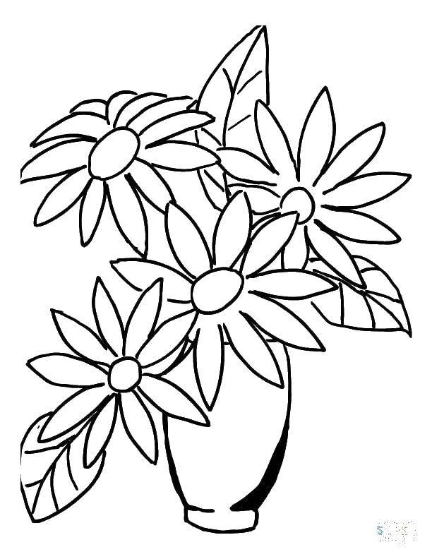 Coloring Vase with four flowers. Category Vase. Tags:  vase, flowers, leaves.