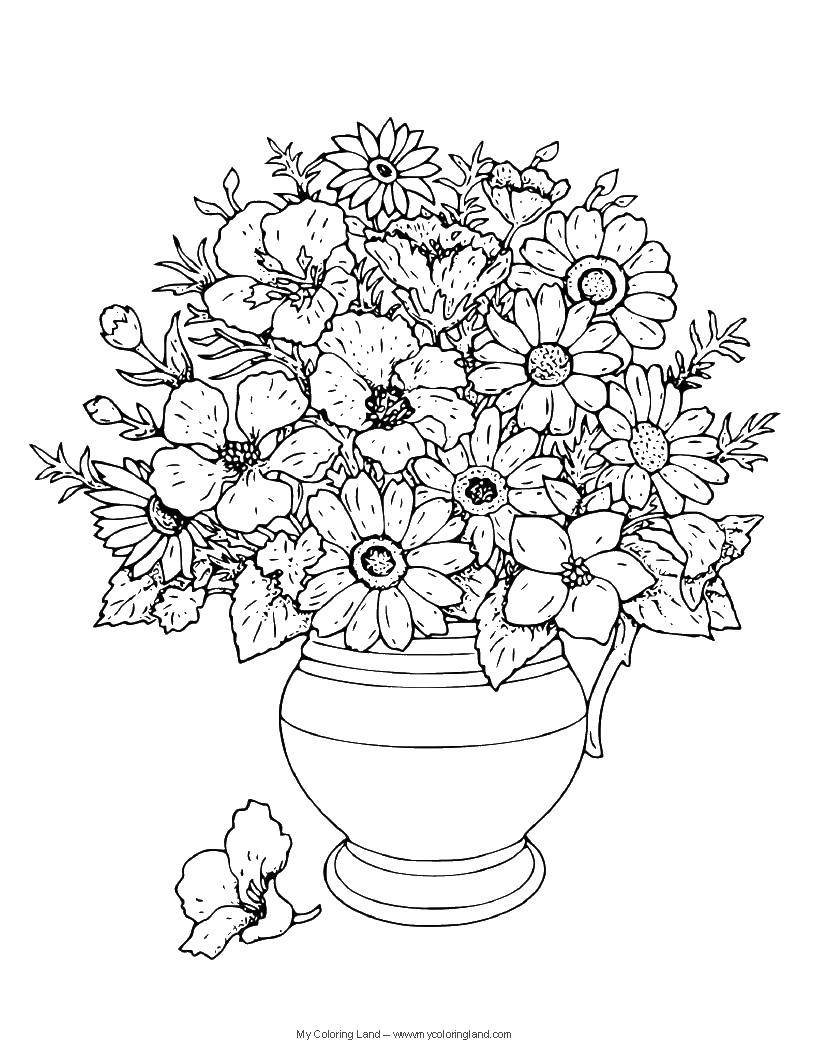 Coloring Vase with handle and flowers. Category Vase. Tags:  vase, bouquet, flowers.