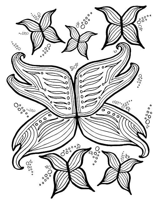 Coloring Butterfly.. Category coloring. Tags:  wings, butterflies, insects.