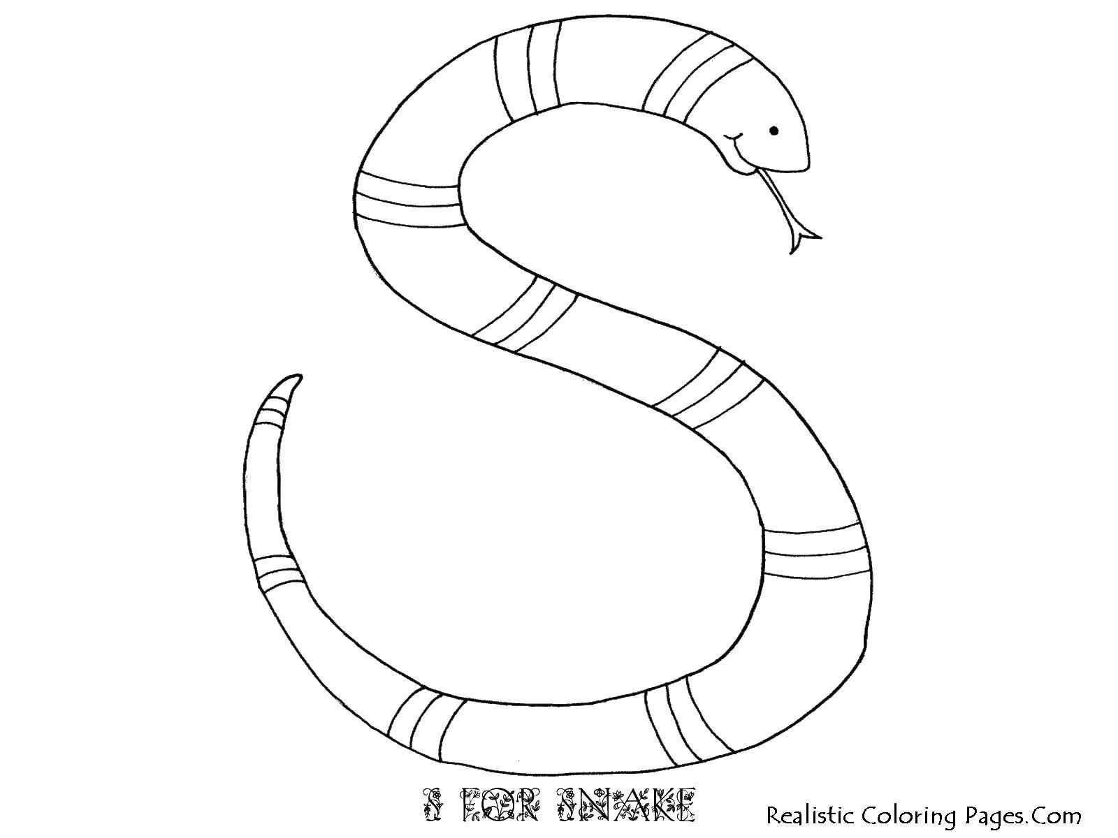Название: Раскраска Буква s в виде змеи. Категория: алфавит. Теги: буква, змея, язык.