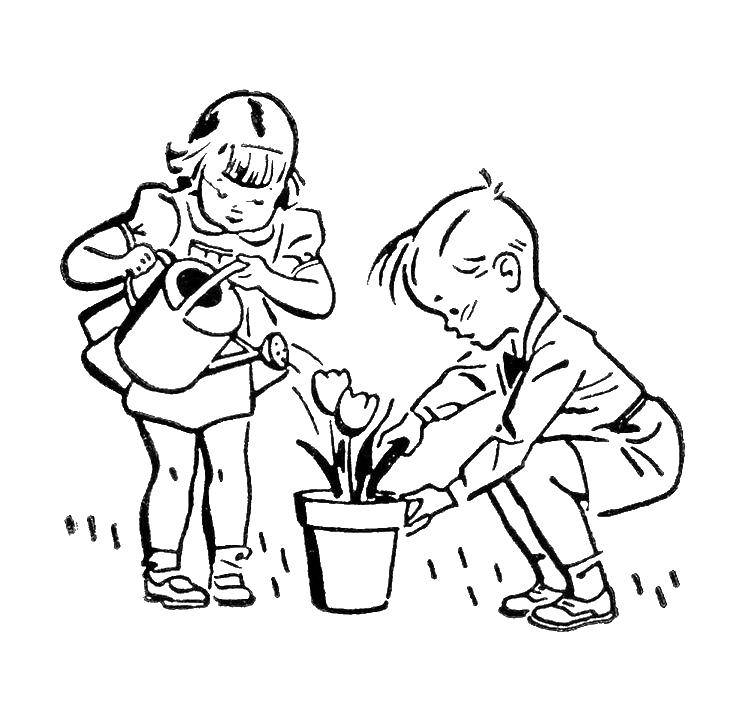 Coloring Children caring for flower. Category children. Tags:  kids, flower, plants.