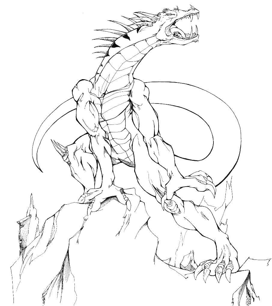 Coloring Dragon on a rock. Category Dragons. Tags:  dragon, rock, tail.