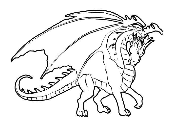 Coloring Dragon with wings. Category Fire. Tags:  dragons, fire, wings.