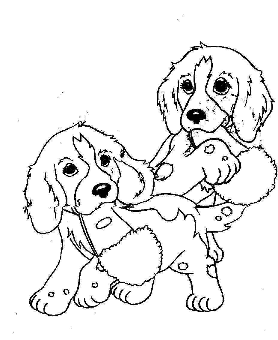 Название: Раскраска Два щенка и тапки. Категория: собаки. Теги: щенки, тапки.