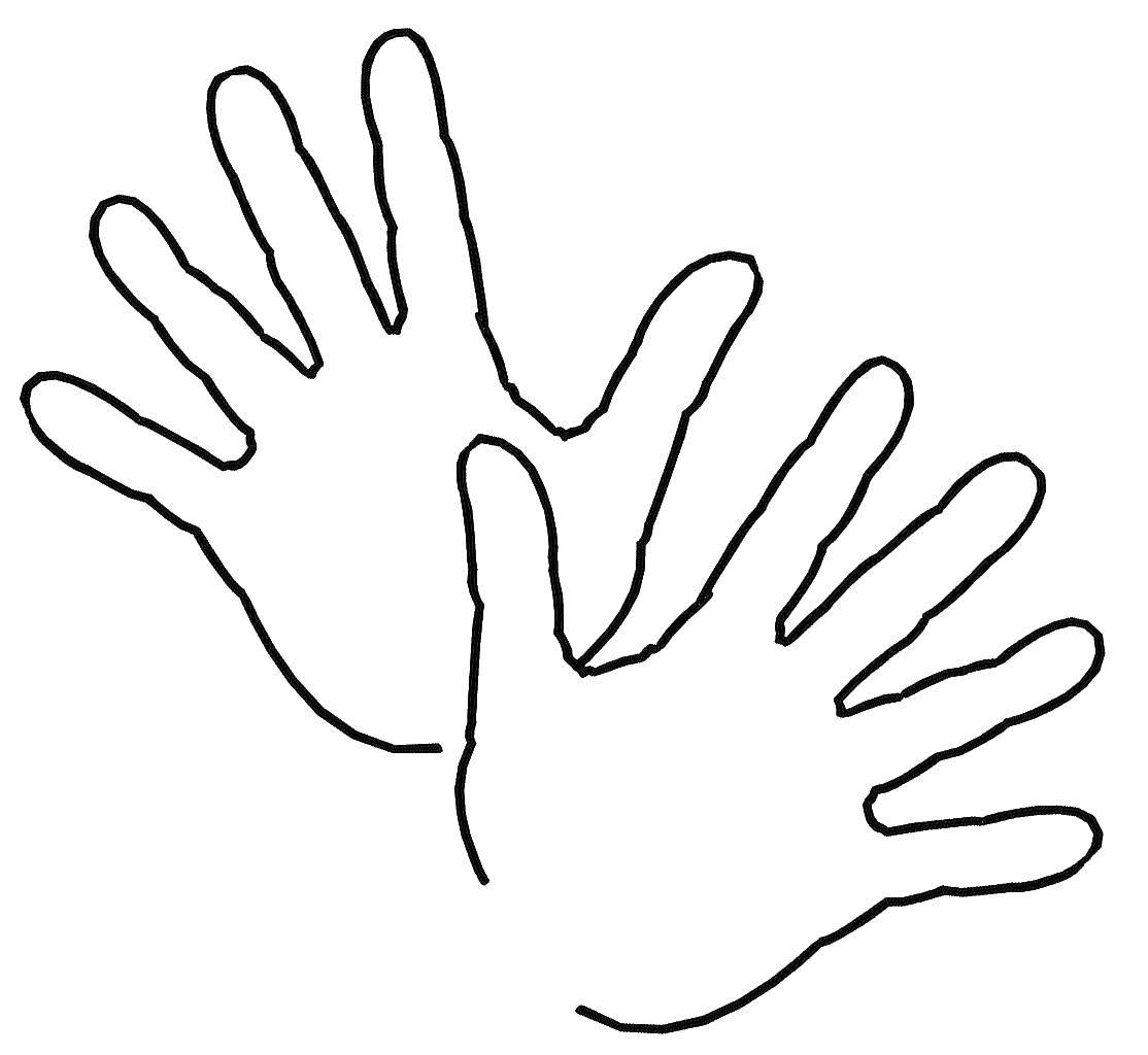 Coloring Two palms. Category The contour of the hands and palms to cut. Tags:  the palms, fingers.