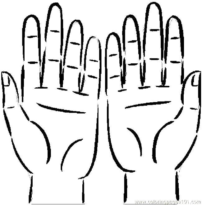 Coloring Two hands. Category The contour of the hands and palms to cut. Tags:  hands, fingers.