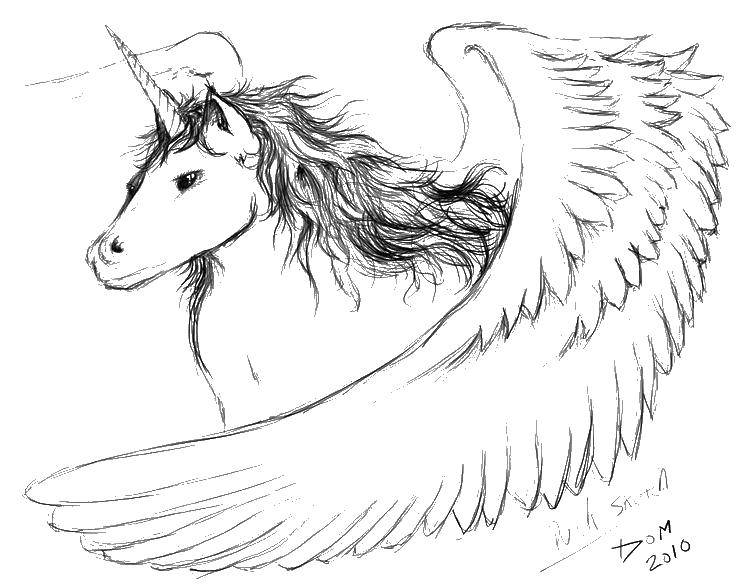 Coloring Unicorn with wings and hair. Category coloring. Tags:  unicorn, wings, crown.