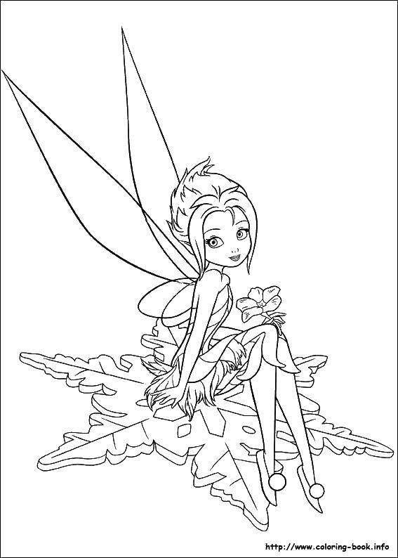 Coloring Fairy snowflakes. Category fairies. Tags:  fairy, snowflake, wings.