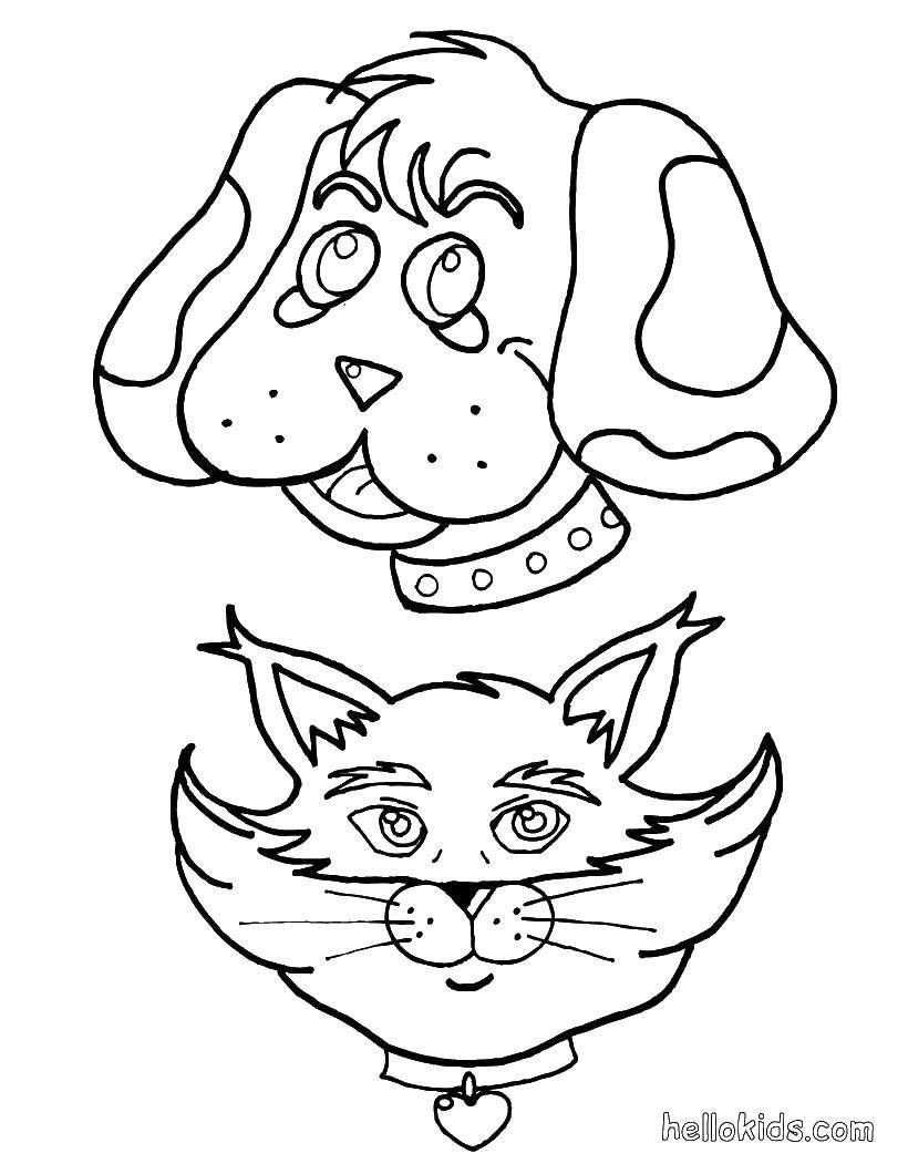 Название: Раскраска Голова кошки и собака. Категория: раскраски. Теги: собака, кошка, ошейники.