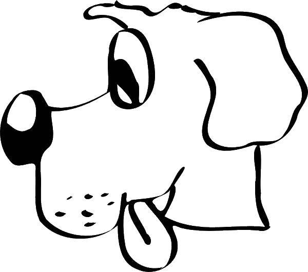 Название: Раскраска Голова собаки с языком. Категория: собаки. Теги: голова, собака, язык, нос.