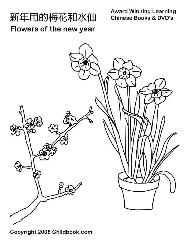 Coloring The pot and flowers. Category flowers. Tags:  flower pot.