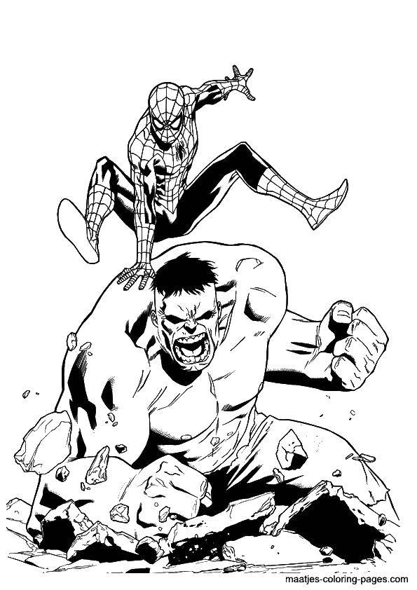 Coloring Hulk and Spiderman. Category superheroes. Tags:  superhero, the Hulk, green, Spiderman.