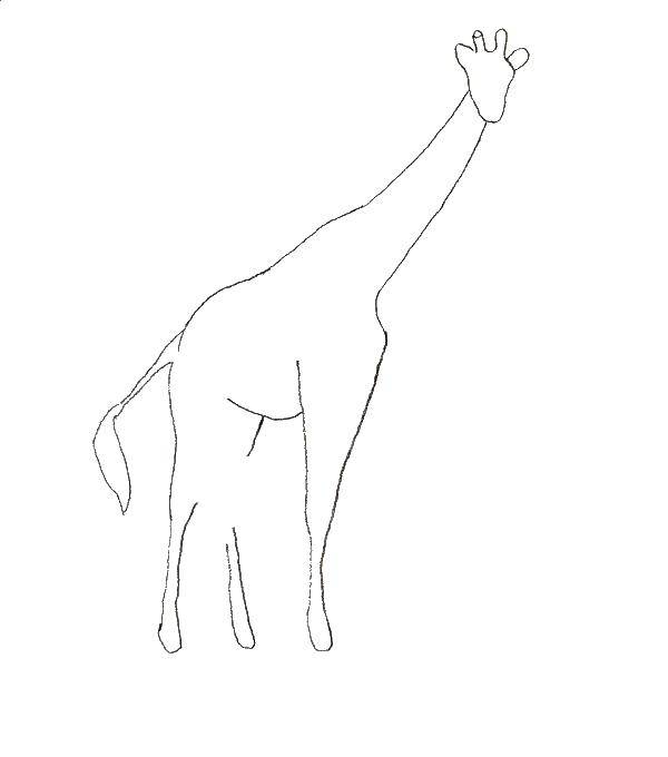 Название: Раскраска Контур большого жирафа. Категория: Контур жирафа для вырезания. Теги: контур, жираф.