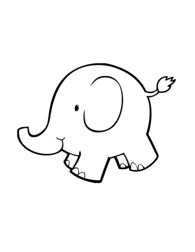 Название: Раскраска Контур маленького слоненка. Категория: контуры слона для вырезания. Теги: контур, слон, хобот.