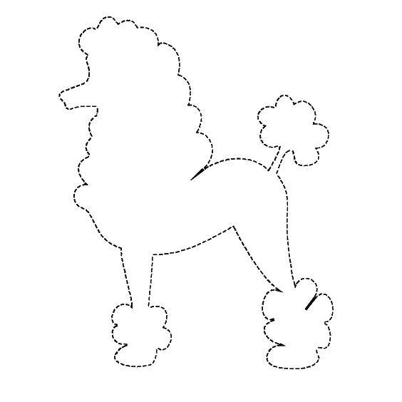 Название: Раскраска Контур пуделя. Категория: собаки. Теги: контур, пудель, хвост.