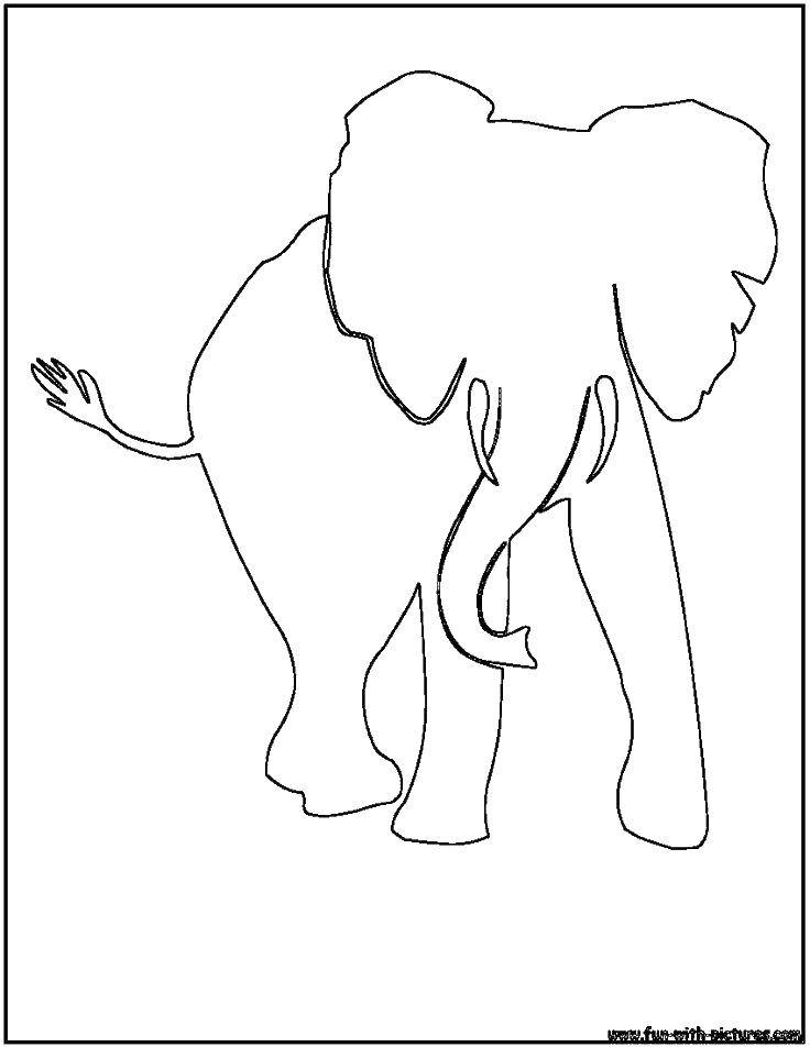 Название: Раскраска Контур слона и бивни. Категория: контуры слона для вырезания. Теги: контур, слон, хобот.
