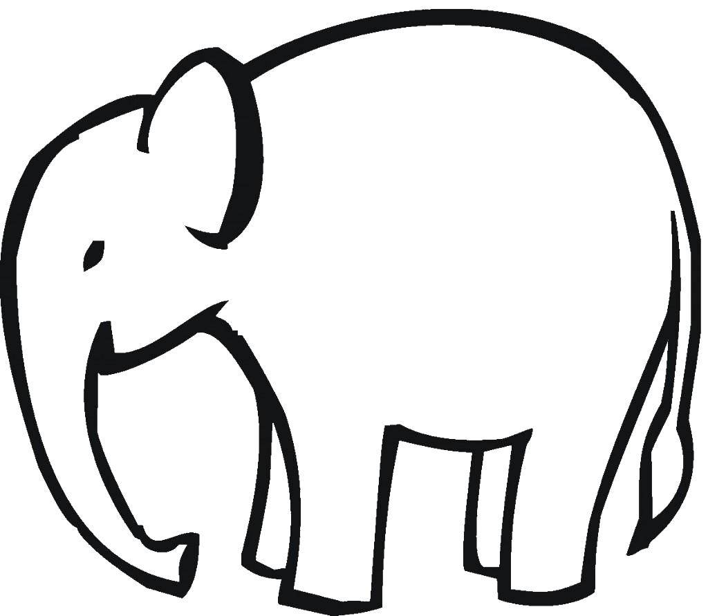 Название: Раскраска Контур слона и хобот. Категория: контуры слона для вырезания. Теги: контур, слон, хобот.