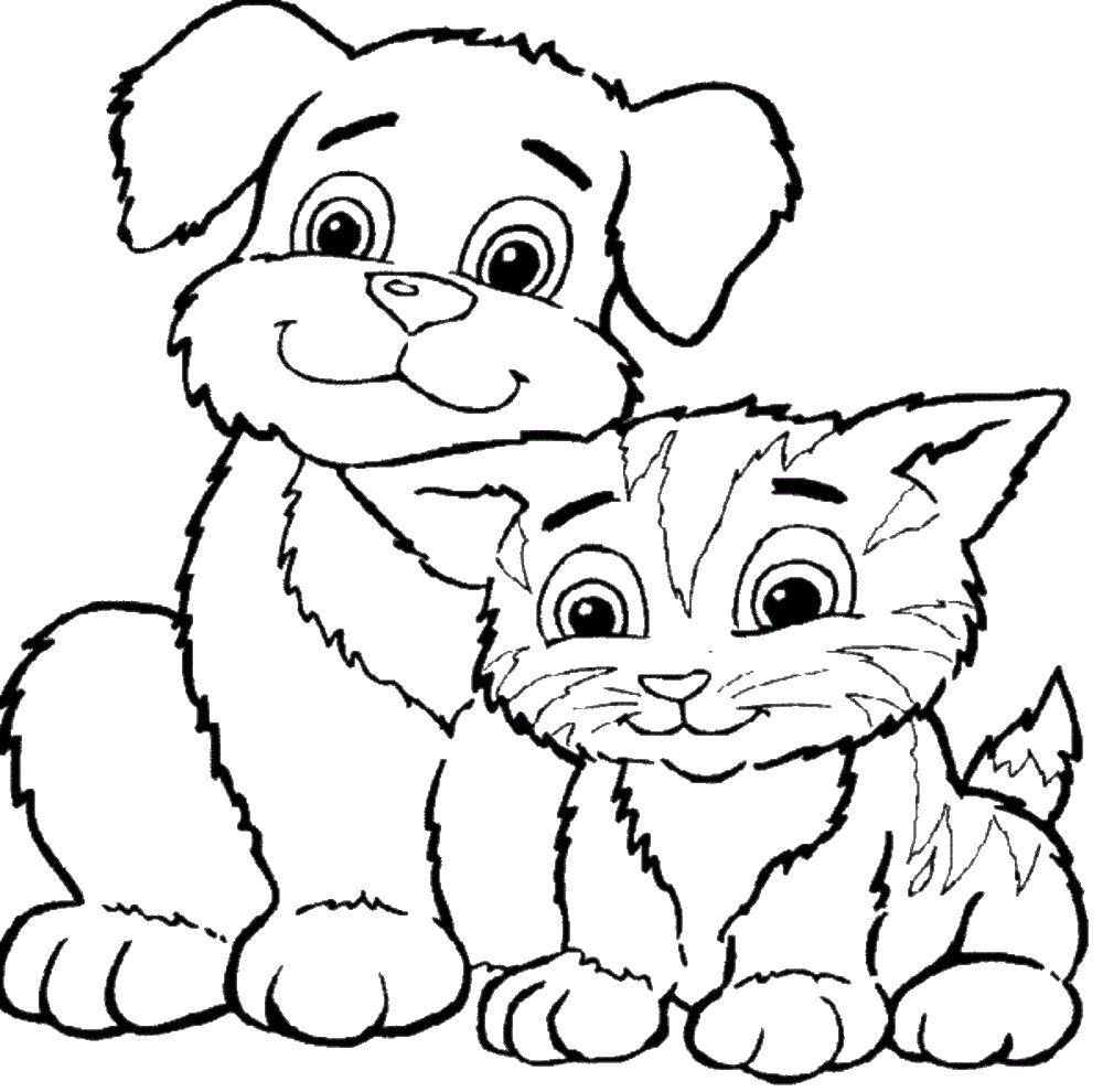 Название: Раскраска Котенок с щенком. Категория: котята и щенки. Теги: котенок, щенок, ушки.