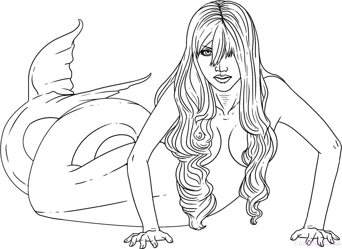 Coloring Beautiful siren. Category The little mermaid. Tags:  the little mermaid, mermaids, sirens.