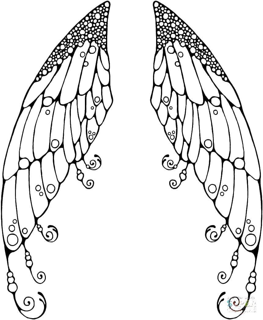 Coloring Beautiful wings. Category coloring. Tags:  wings, wings, patterns.