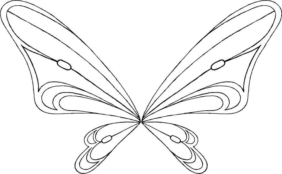 Coloring Beautiful wings. Category coloring. Tags:  wings, wings, butterfly.