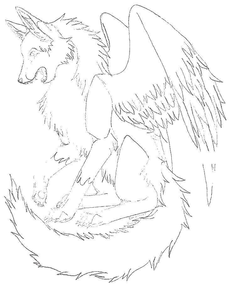 Coloring Winged wolf. Category coloring. Tags:  wings, wolf.