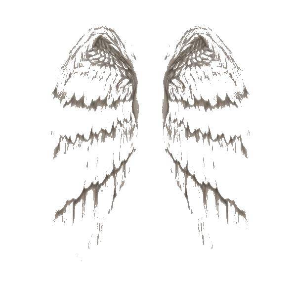 Coloring Wings and feathers. Category coloring. Tags:  wings, angel.