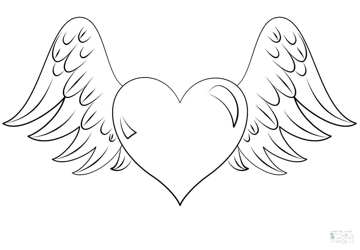Название: Раскраска Крылышки и сердце. Категория: раскраски. Теги: крылья, сердце.
