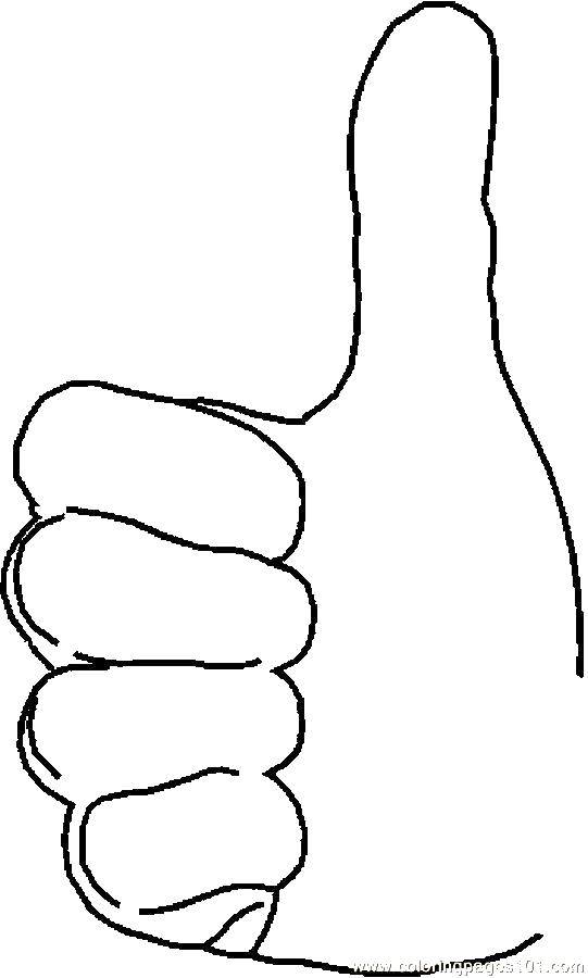 Название: Раскраска Ладонь и большой палец. Категория: Контур руки и ладошки для вырезания. Теги: ладонь, палец.