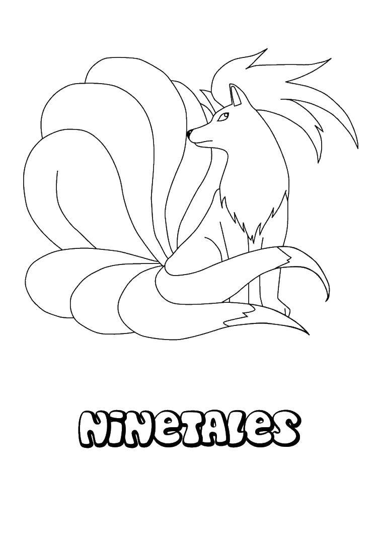 Coloring Fox with a large tail. Category cartoons. Tags:  Fox, tail.