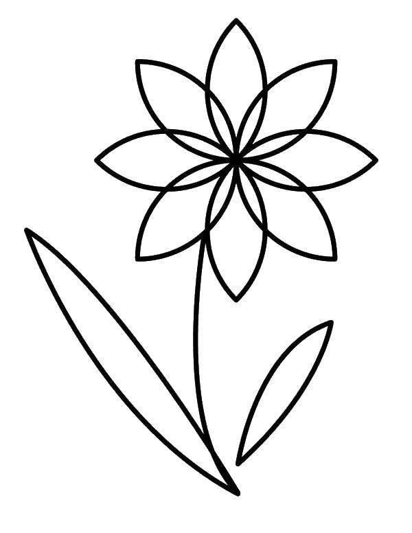 Название: Раскраска Листья и цветок. Категория: Контуры цветка для вырезания. Теги: цветок, лепестки, контур.
