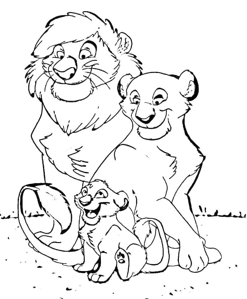 Название: Раскраска Львиная семья. Категория: Семья. Теги: семья, львы, кошки.