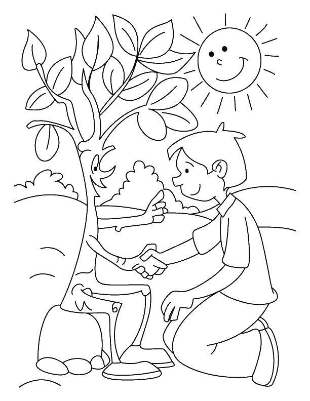 Название: Раскраска Мальчик и дерево. Категория: раскраски. Теги: мальчик, дерево, солнце.