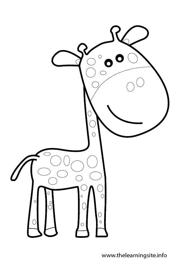 Название: Раскраска Маленький пятнистый жираф. Категория: Контур жирафа для вырезания. Теги: жираф, хвост, уши.