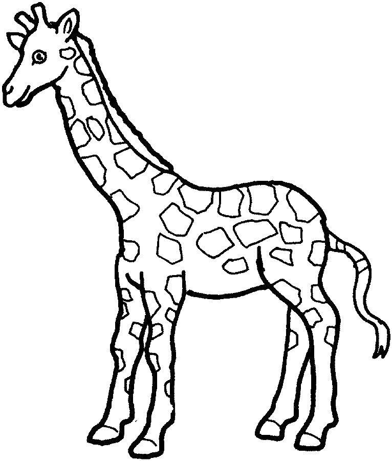 Название: Раскраска Маленький жираф. Категория: Контур жирафа для вырезания. Теги: жирафы, жираф, животные.