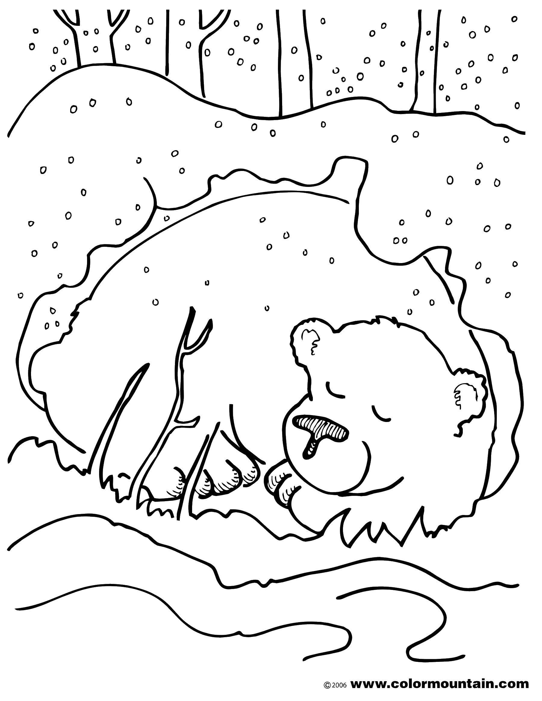 Название: Раскраска Мишка под снегом. Категория: Животные. Теги: животные, медведи, зима, снег.