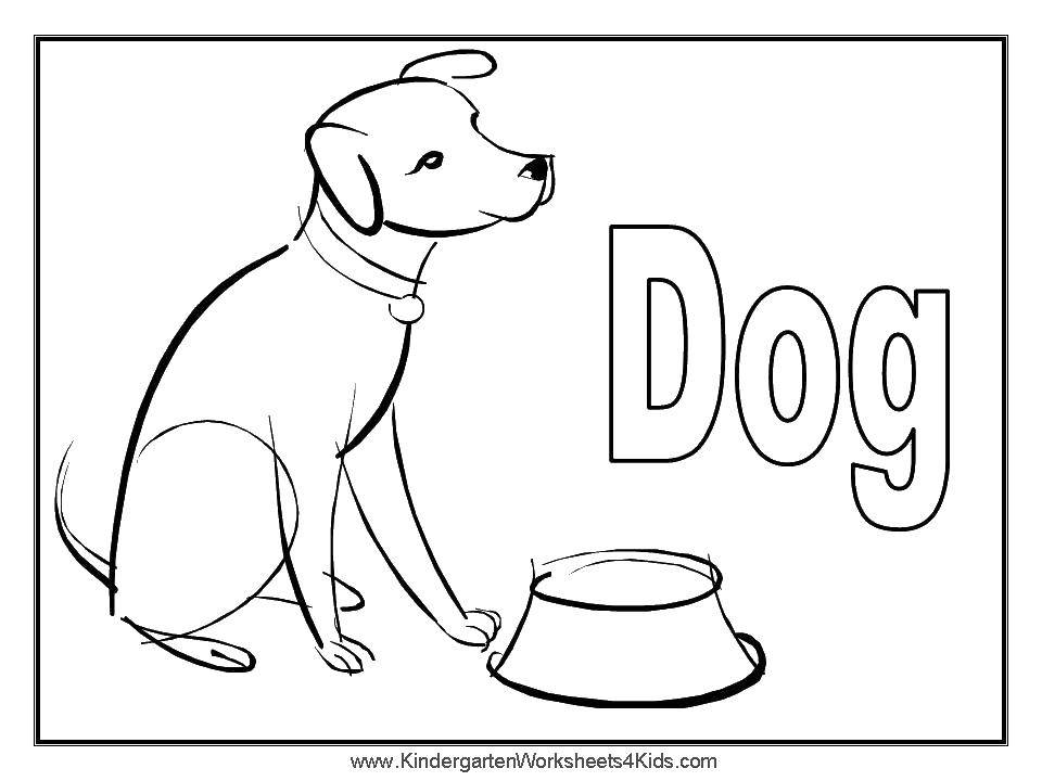 Название: Раскраска Миска и собака. Категория: собаки. Теги: собака, миска, ошейник.