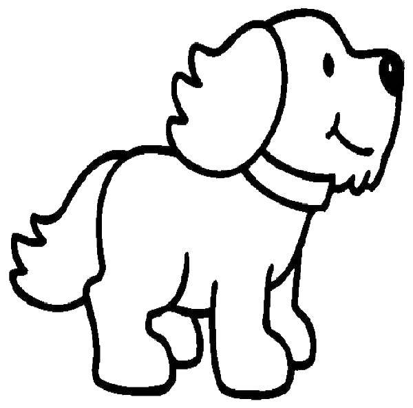 Название: Раскраска Ошейник и щеночек. Категория: собака. Теги: щенок, ошейник, ушки.