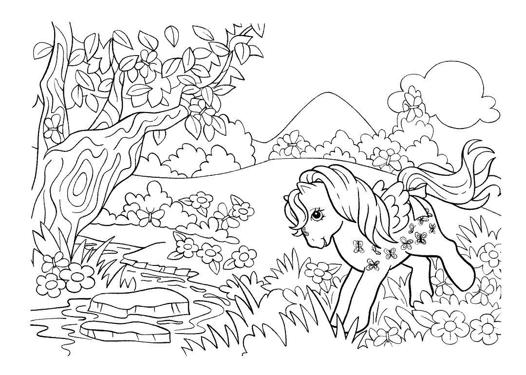 Coloring Pony in the meadow. Category Ponies. Tags:  pony, horse, girls, glade.
