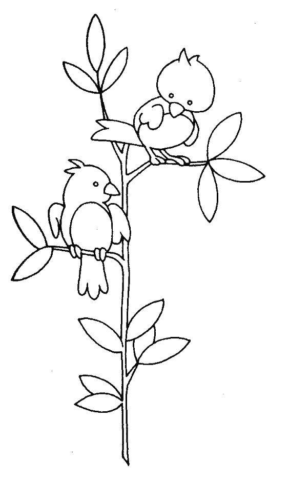 Coloring Birds on a branch. Category birds. Tags:  birds, branch, leaves.