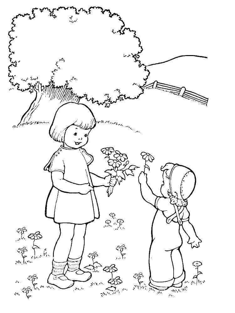 Название: Раскраска Ребята собирают цветочки на лугу. Категория: дети. Теги: Дети, игра, природа.