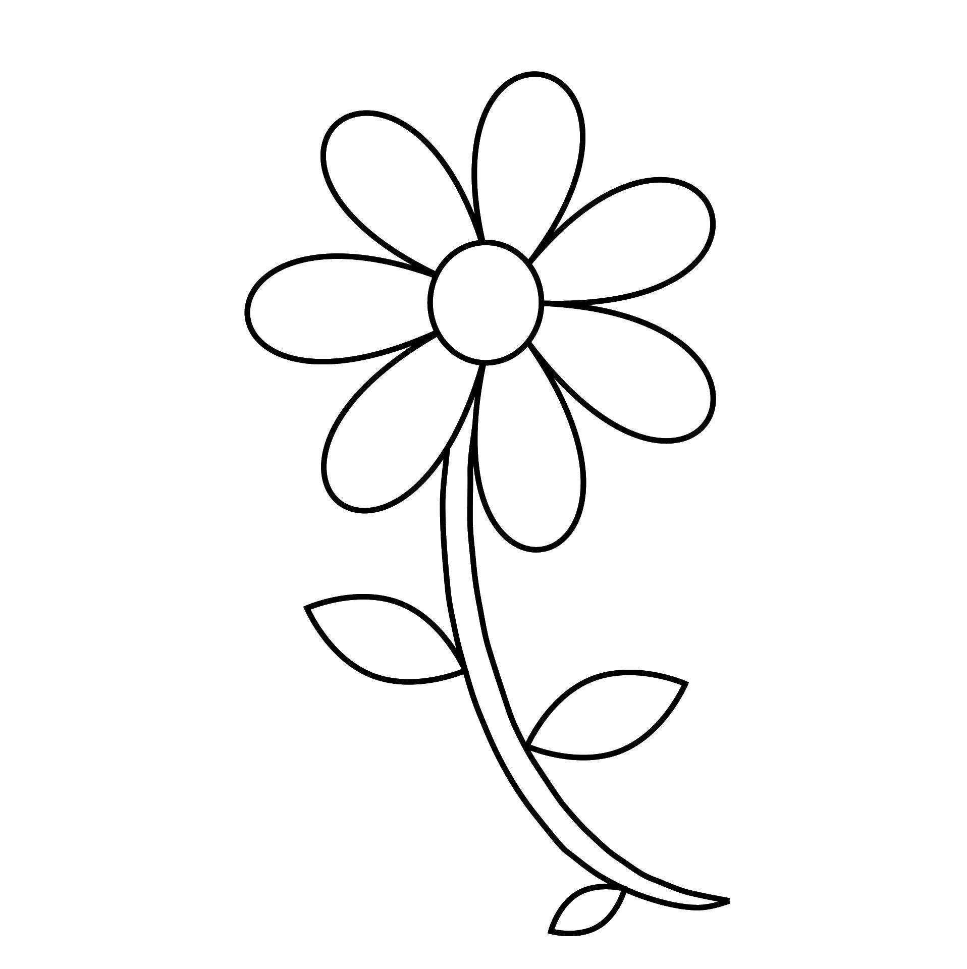 Название: Раскраска Ромашка на стебельке. Категория: Контуры цветка для вырезания. Теги: ромашка, стебель, листья.