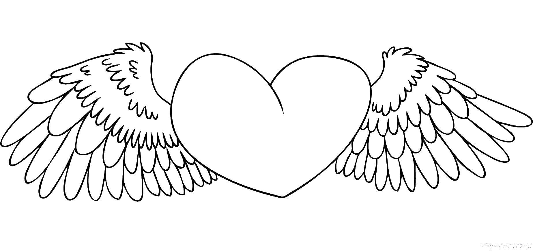 Coloring Heart and wings with feathers. Category coloring. Tags:  wings, heart.