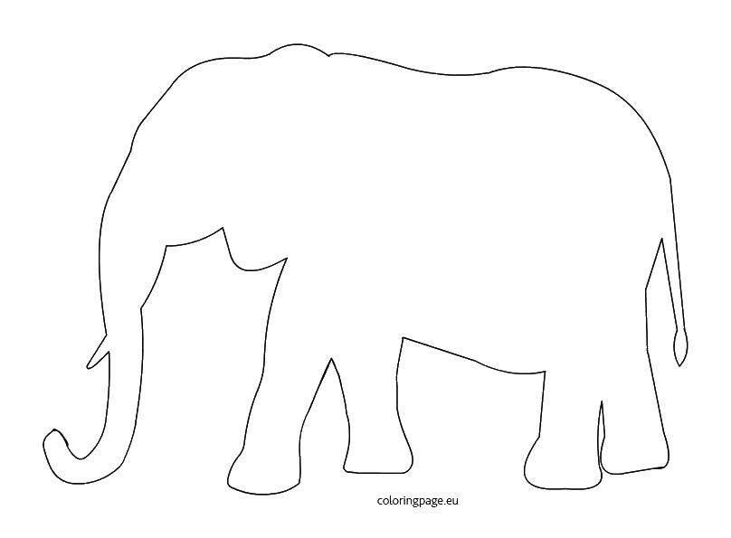 Название: Раскраска Шаблон слоника для вырезания. Категория: контуры слона для вырезания. Теги: контур, слон, хобот.